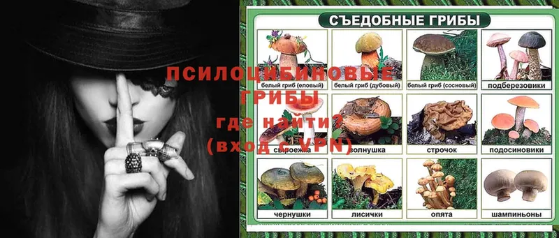 дарнет шоп  Белый  Галлюциногенные грибы MAGIC MUSHROOMS 